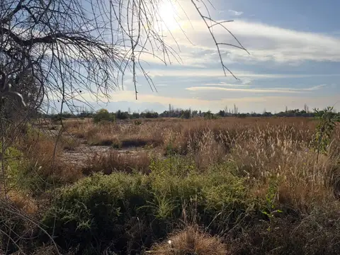 Terreno en Venta en San Francisco Del Monte, San José de Guaymallén