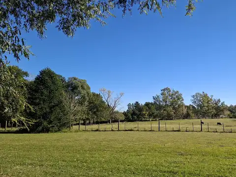 Campo en Venta en Zarate, Partido de Zárate