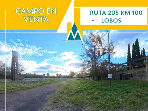 Campo en Venta en Lobos, Partido de Lobos