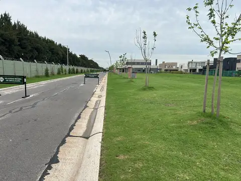 Terreno en Venta en Nordelta Carpinchos, Nordelta