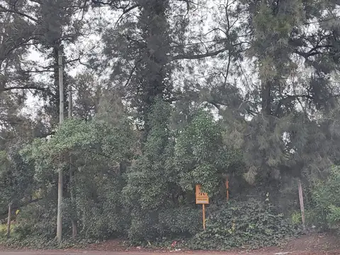 Terreno en Venta en Villa Elisa, Partido de La Plata