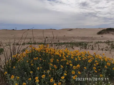 Terreno en Venta en Las Toninas, Partido de La Costa