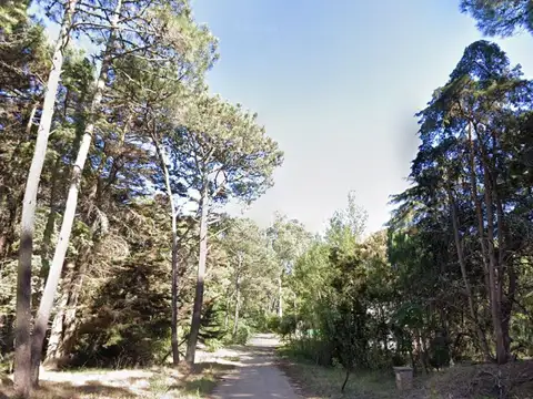 Terreno en Venta en Carilo, Partido de Pinamar
