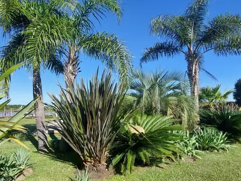Terreno en Venta en Delta del Tigre, Partido de Tigre