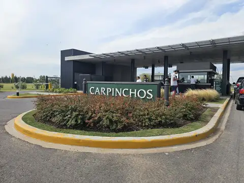 Terreno en Venta en Nordelta Carpinchos, Nordelta