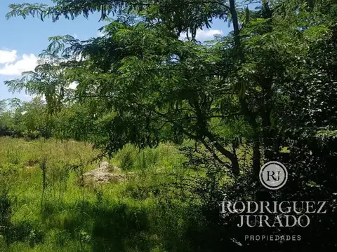 Terreno en Venta en Benavidez, Partido de Tigre