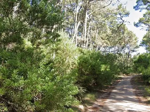 Terreno en Venta en Carilo, Partido de Pinamar