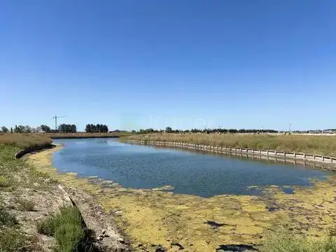 Terreno en Venta en Nordelta, Partido de Tigre