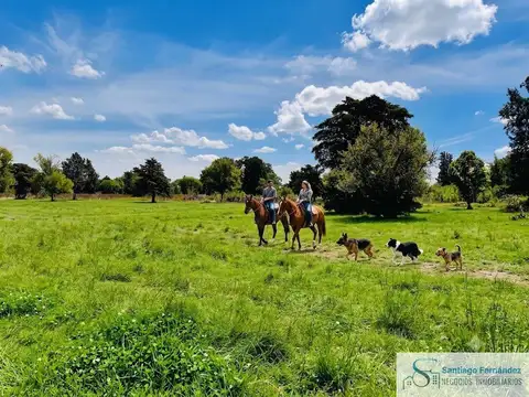 Terreno en Venta en Exaltacion de la Cruz, Partido de Exaltación de la Cruz
