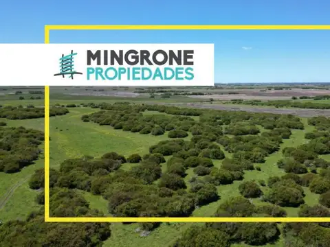Terreno en Venta en General Juan Madariaga, Partido de General Juan Madariaga