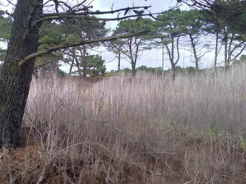 Terreno en Venta en Mar Azul, Partido de Villa Gesell