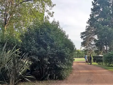 Terreno en Venta en Villa Astolfi, Partido de Pilar