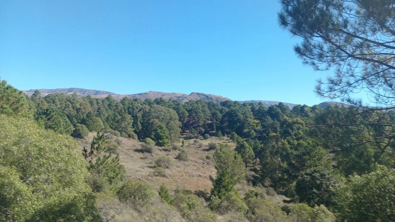 Oportunidad Única en San Clemente - Campo de 8 Has 9 mil m² con Escritura