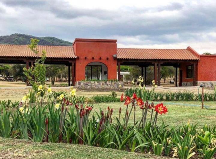 Terreno