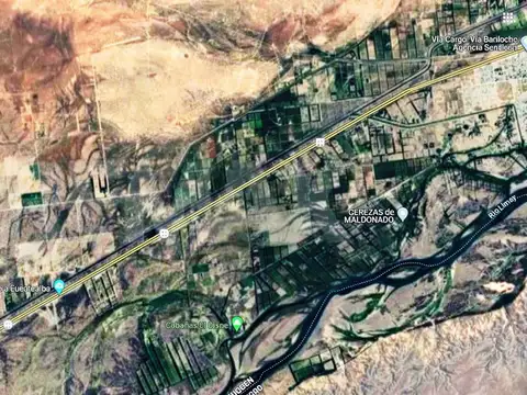 Campo en Venta en Senillosa, Confluencia