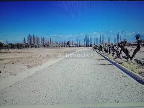 Terreno en Venta en Perdriel, Luján de Cuyo