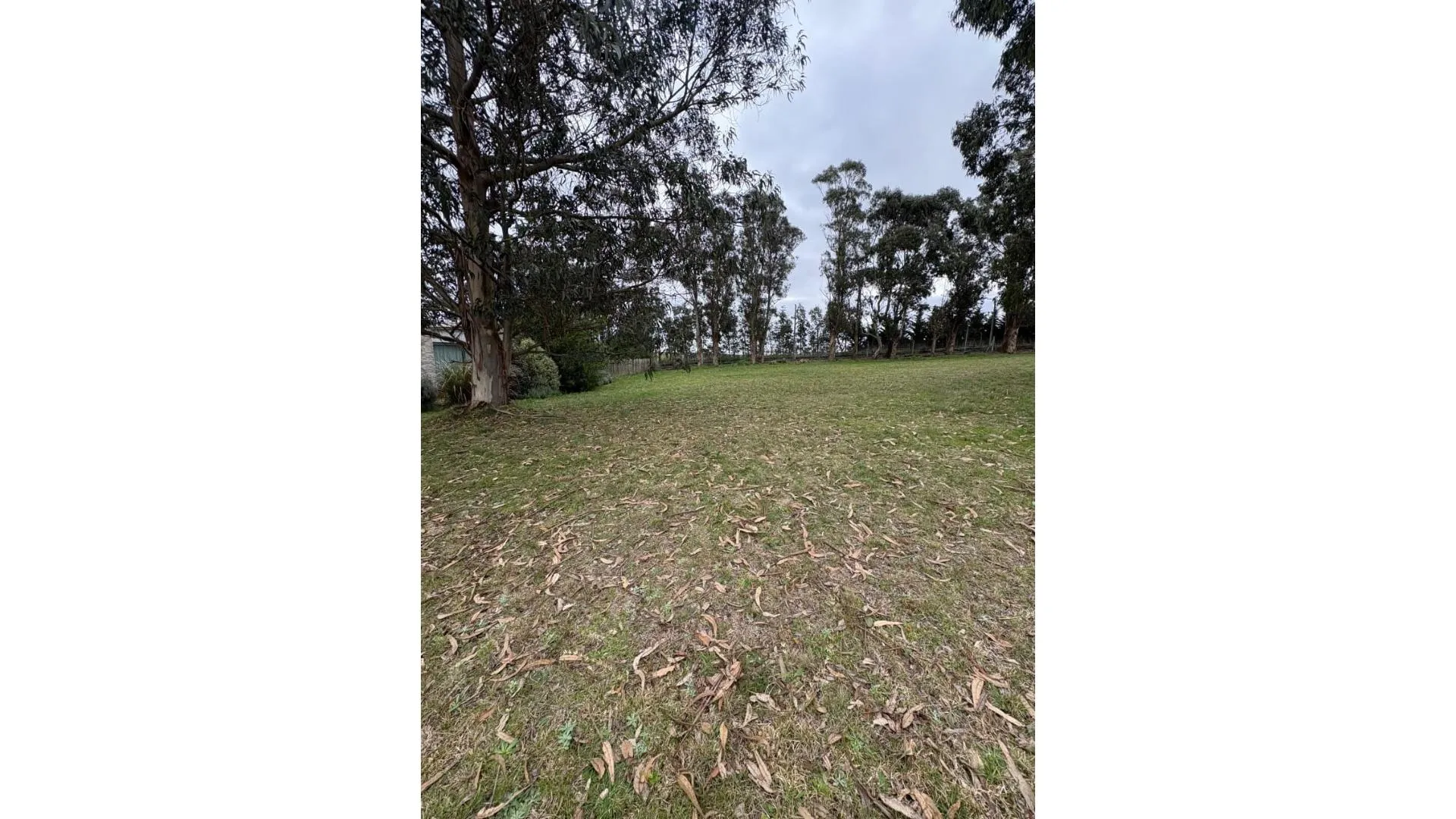 VENTA LOTE EN BARRANCAS DE SAN BENITO