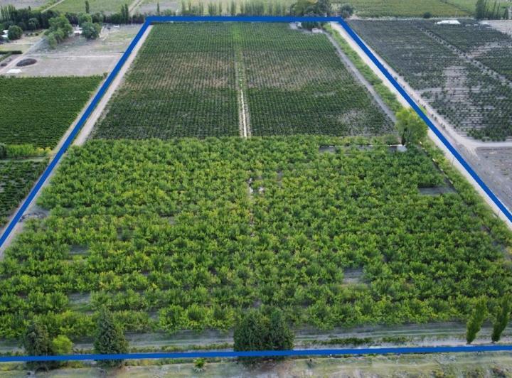 Campo · 100000m² · 3 Ambientes