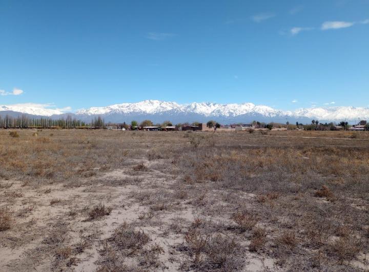 Campo · 50000m²