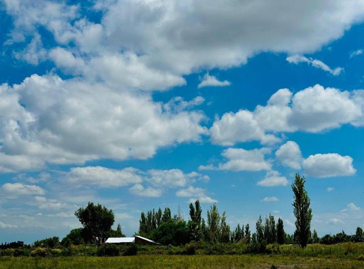 Terreno · 20000m²