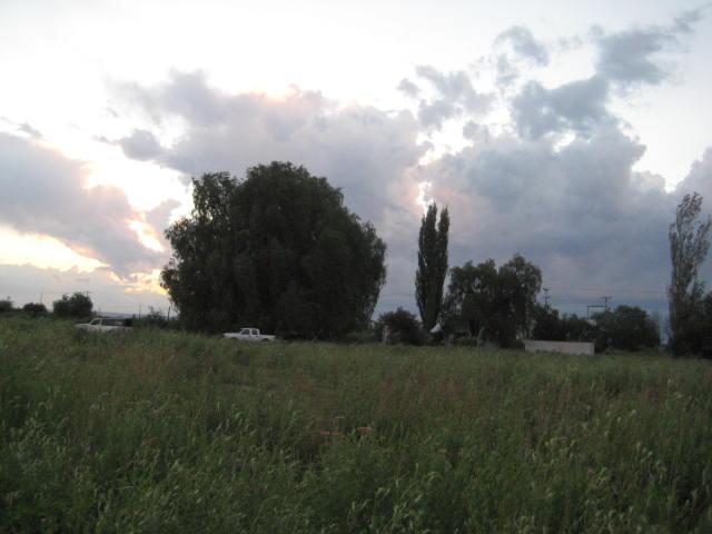Campo · 100m²