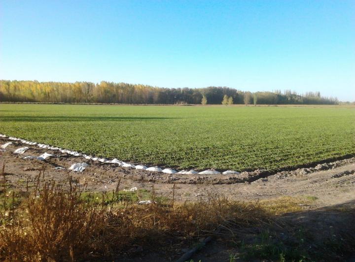 Campo · 1360m²