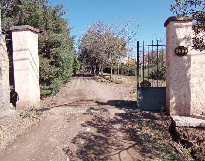 Terreno · 1131ha