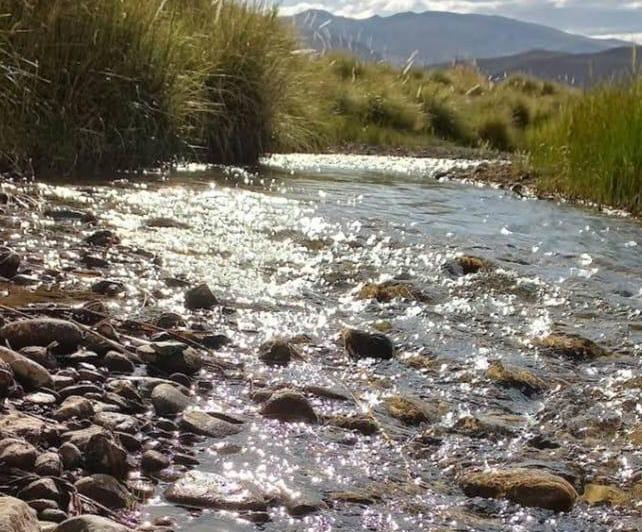 Campo · 5545000m²