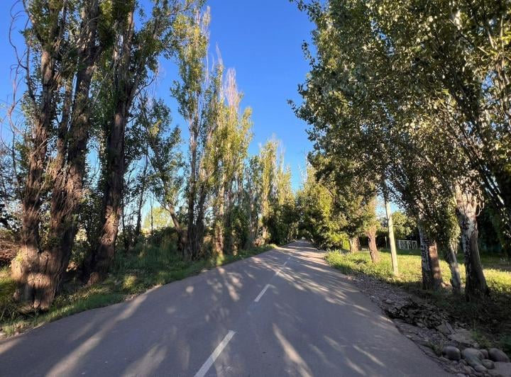 Terreno · 500m²