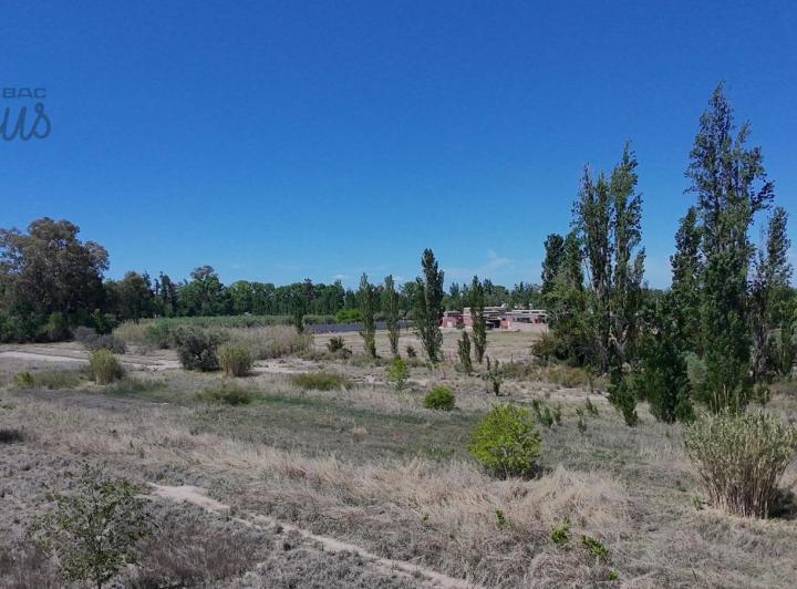Campo · 30000m²