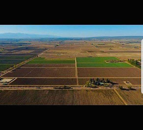 Campo · 45ha