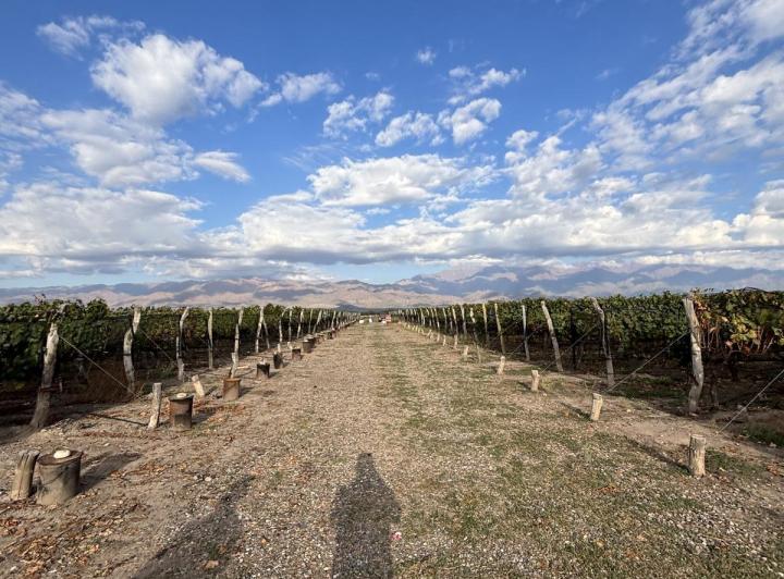 Terreno · 80000m²