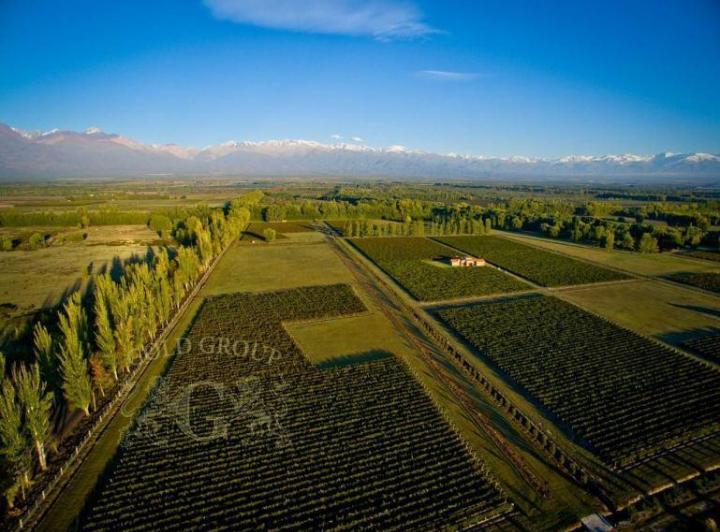Terreno · 10000m²