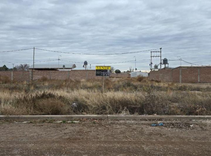Terreno · 313m²