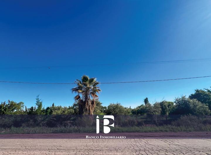 Campo · 22500m²