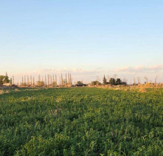 Terreno · 49m²