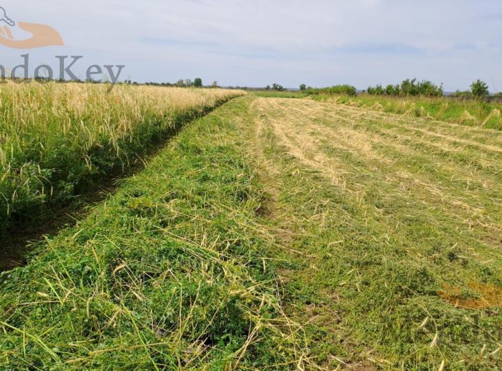 Campo · 200ha · 2 Ambientes