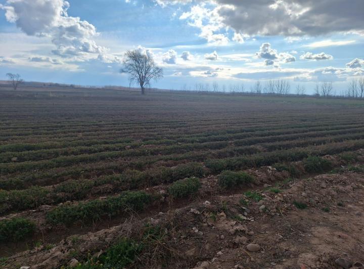 Campo · 200m² · 2 Ambientes · 4 Cocheras