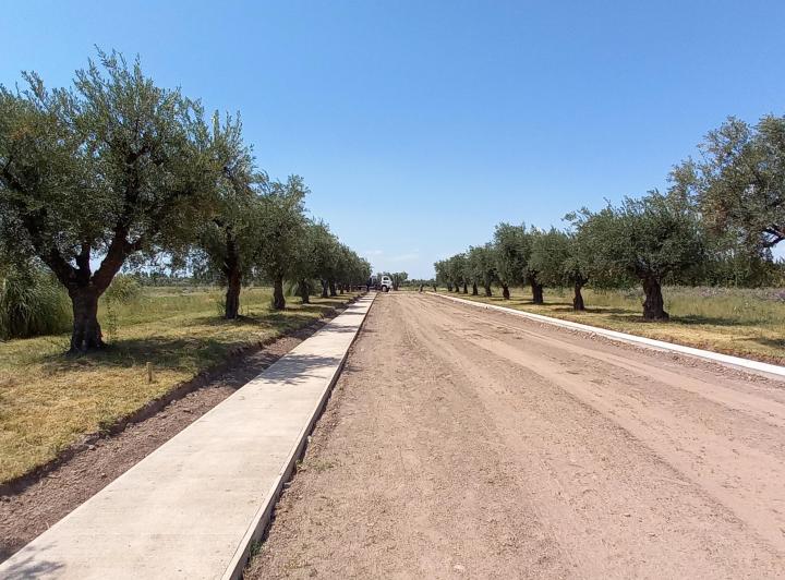 Terreno · 526m²