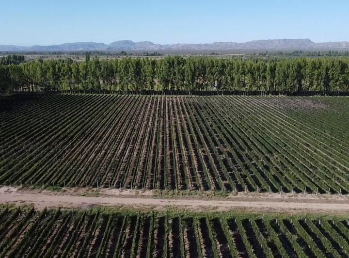 Campo · 200000m²
