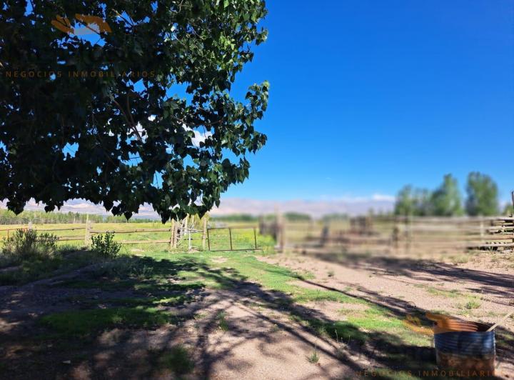 Campo · 80m²