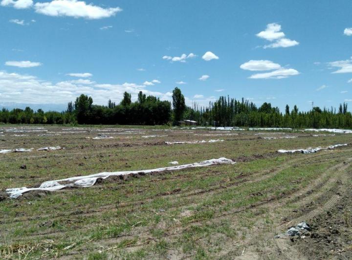 Terreno · 2938m²