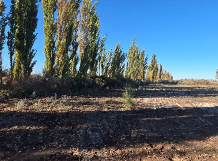 Campo · 56m²