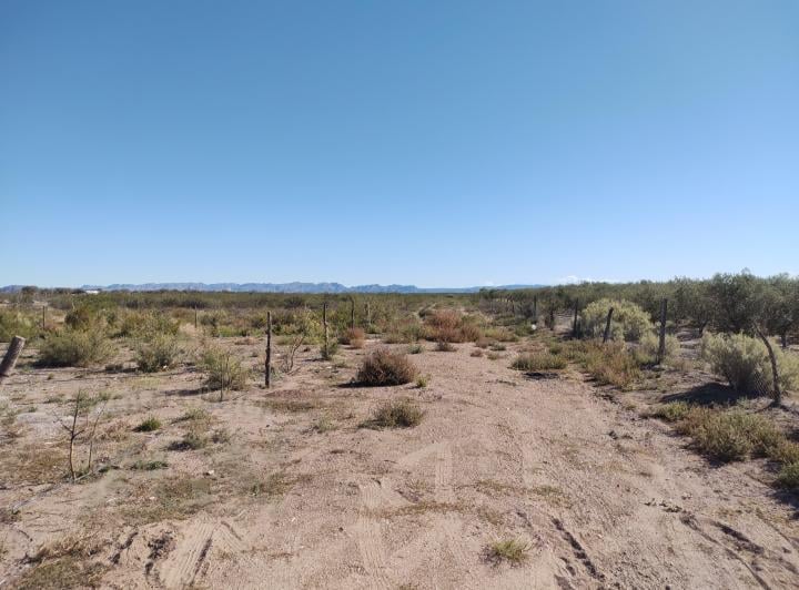 Terreno · 1000m²