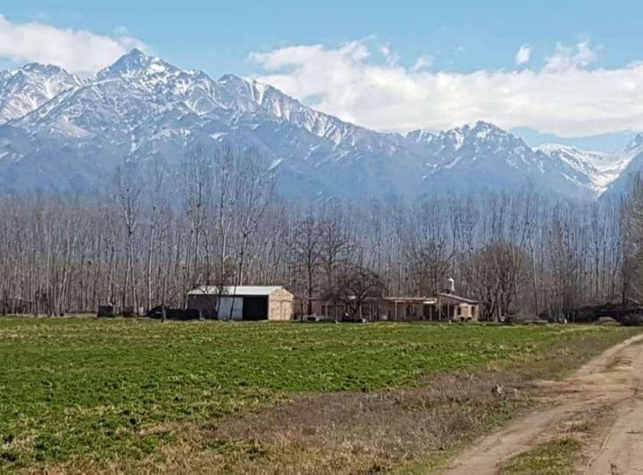 Campo · 198m²