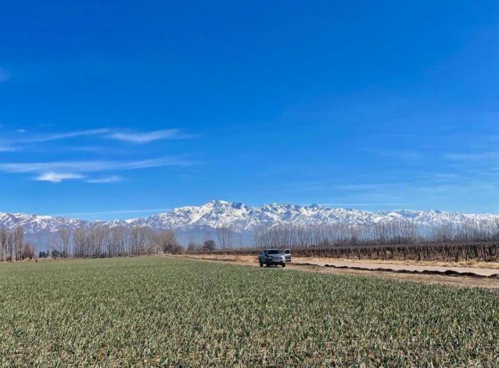 Campo · 171m²