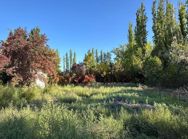 Terreno · 1200m²