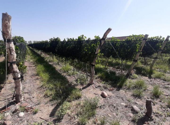 Campo · 147m²
