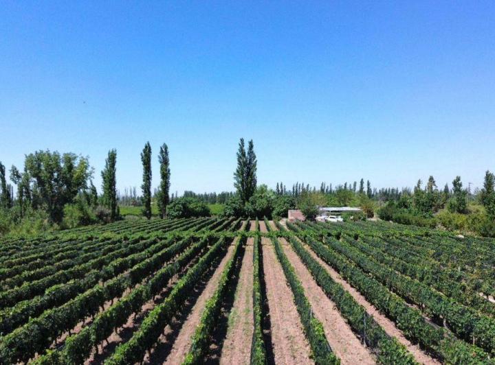 Campo · 13m² · 4 Dormitorios