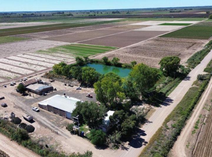 Campo · 100m²